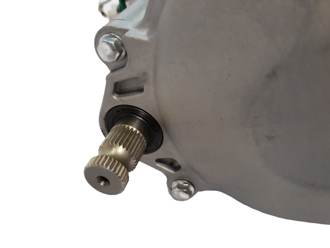 Двигатель в сборе Daytona Anima 190F 190cc BSE PH 190S